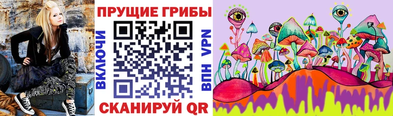Галлюциногенные грибы мицелий  Купить  Изобильный 