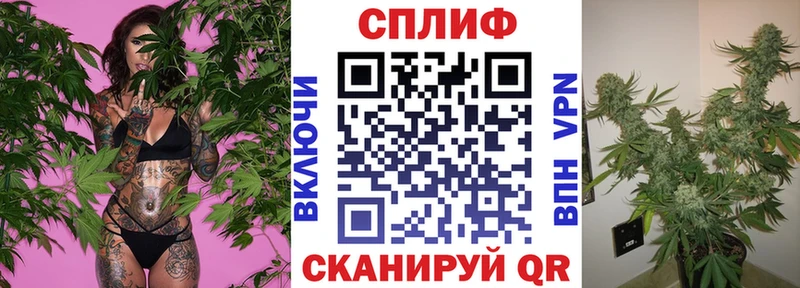 Каннабис план  Купить закладки  Изобильный 